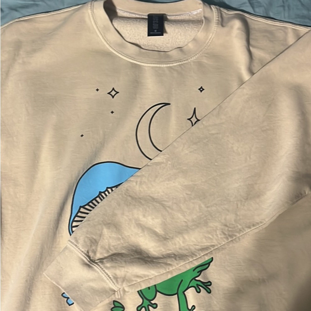 Pacsun hoodie and crew neck both medium